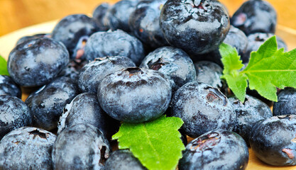 Freshly picked blueberries in wooden bowl.  Blueberry antioxidant.