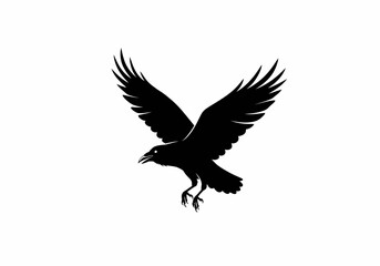 A black raven is flying down with wings outstretched against a white background