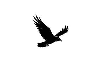 Obraz premium A black silhouette of a crow or raven is captured midflight against a stark white backdrop