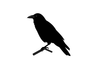 Obraz premium Black crow perches on a stick stark silhouette