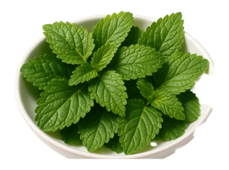 Whole lemon balm leaves in a shallow dish