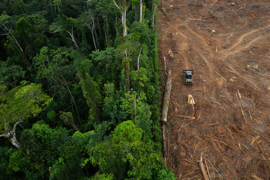 Deforestation accelerates climate change, destroys biodiversity, and threatens Indigenous livelihoods; urgent protection and sustainable supply chains are vital. Social isues.