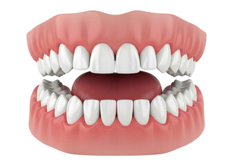 Obraz premium Perfect Oral Anatomy: Healthy Human Teeth and Gums 3D Model Isolated on White