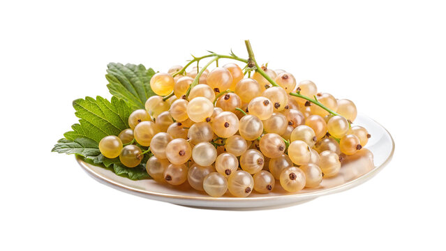 Close up shot of fresh white currants on a small white plate