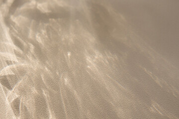 Modern style graphic design template with soft diffused light and blurred sparkling ornament combined with shadow concept of tropical leaves,tree branches,flowers on gradient gray beige background.