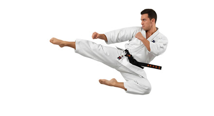 Karate Martial Arts Performance