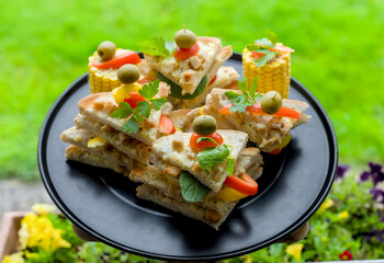 Outdoor Toasted Canapes Mini Bites Sandwiches Cocktail Platter with Chicken Cubes, Cheddar Cheese, Bell Peppers, Green Olives and Corn on the Cob, Fun Party Festive Snack