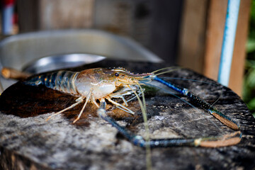 Fresh River Prawn On Wooden Floor