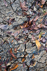 Ground Is Cracking And Drying Out