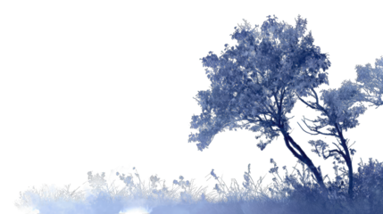 A winter scene, frosty trees against a dark background