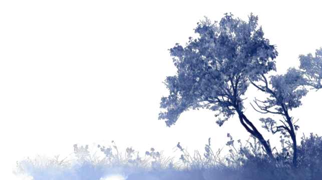 A winter scene, frosty trees against a dark background