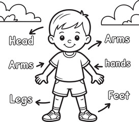 Anatomical Diagram of a Boy with Labeled Body Parts Coloring Page Educational Art