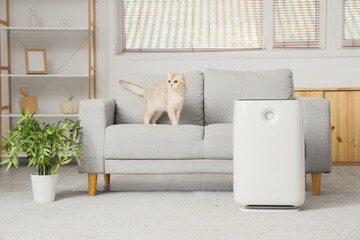 Cute Scottish Fold cat on sofa with air purifier in living room