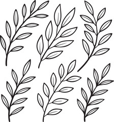 Elegant Branch and Leaf Illustrations