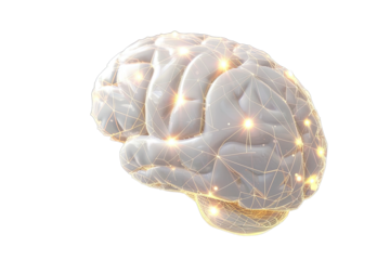 3D rendered brain with glowing neural network