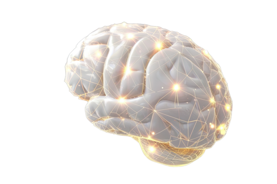3D rendered brain with glowing neural network