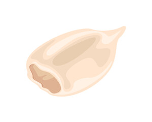 Fresh raw squid fillet isolated on white background. Vector cartoon flat illustration. Seafood icon.