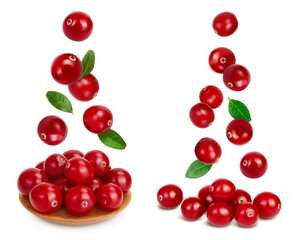 Cranberry in wooden bowl isolated on white background with full depth of field