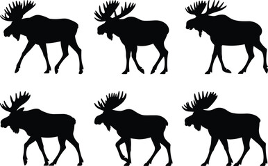 Moose silhouette vector illustration, wild animal walking poses, elk silhouette graphic design, forest wildlife clipart, hunting nature element, strong moose antlers art