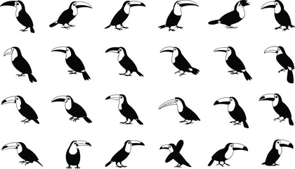 Toucan bird vector illustration set, tropical exotic animal design, jungle wildlife silhouette collection, cartoon toucan icons, rainforest nature graphic artwork
