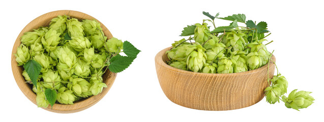 Hop cones in wooden bowl isolated on white background. Beer brewing ingredients. Top view. Flat lay
