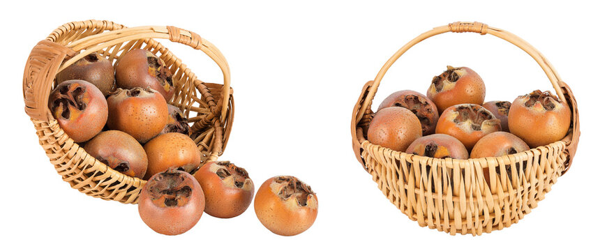 Brown fresh medlars in a wicker basket isolated on white background. Mespilus germanica close-up