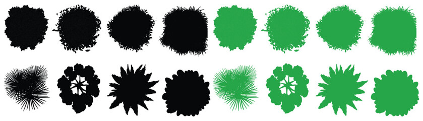 Vector set of watercolor blooming green tree top view isolated on white backdrop for landscape plan and architecture drawing, botanical elements for environment and garden flowers spring. Leaf sketch © Md