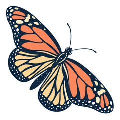 Monarch butterfly with orange and black wings