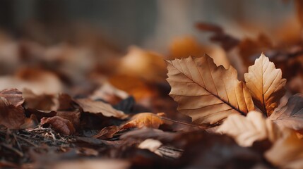 A warm brown autumn leaf stands tall on the soft forest ground surrounded by many fallen leaves