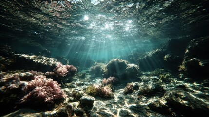 Obraz premium Underwater scene with sunbeams illuminating coral reef and rocky seabed ocean sunlight