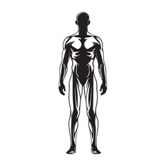 Vector art of black silhouette of a muscular male human body, , representing strength and athleticism