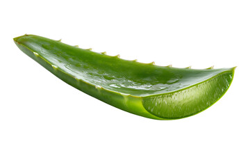 Fresh Aloe Vera Leaf Sliced Open Showing Gel