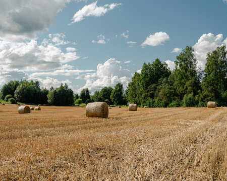 hay bales in the field - Powered by Adobe