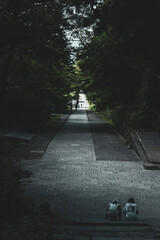 鳥取県　大山寺　