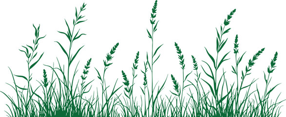 green grass isolated on white background