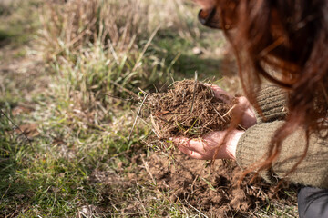 female farmer on a farm. women in agriculture working hard in stock yards herding cattle to weigh cows. organic and free range livestock sustainable ranch, grown on a farm in tasmania Australia.