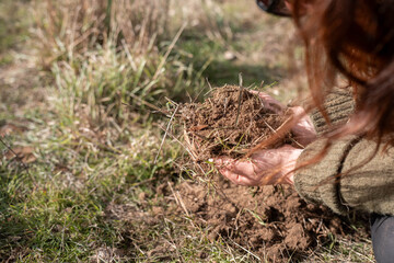 female farmer on a farm. women in agriculture working hard in stock yards herding cattle to weigh cows. organic and free range livestock sustainable ranch, grown on a farm in tasmania Australia.