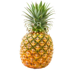 Fresh pineapple (1)