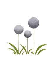 grass and flowers