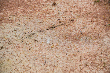 A textured surface of fine gravel and sand creates a visually interesting pattern. The neutral and earth-tone color palette makes it ideal for backgrounds and overlays, suitable for design projects.