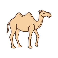 Cartoon illustration of a dromedary camel walking with a smile on white