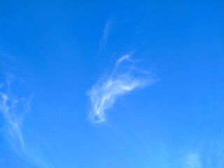 Wispy white cloud formation against a vivid blue sky on a clear day. Delicate, airy cirrus clouds creating a soft, dreamy, and peaceful atmosphere perfect for nature and weather concepts.