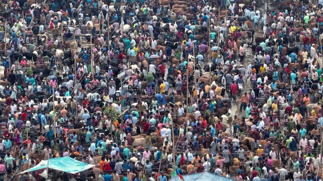 Bogura, Bangladesh - 23 August 2025: Aerial view of a vibrant market scene, teeming with a multitude of people and cattle, showcasing a rich tapestry of colors.