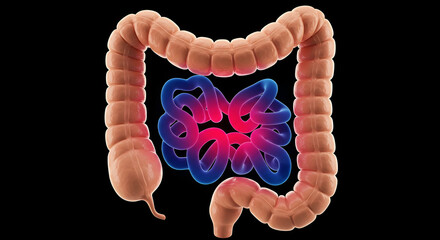 Analyzing Human Colon and Intestines on Black Background