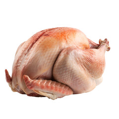 Raw Turkey Ready for Cooking Thanksgiving Dinner