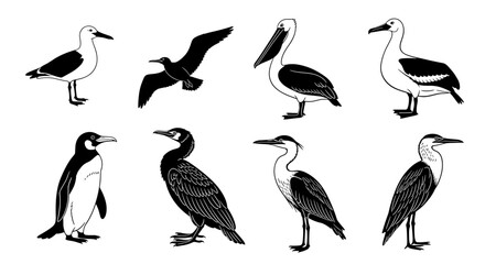 Fototapeta premium Black and white silhouette compilation of eight bird species