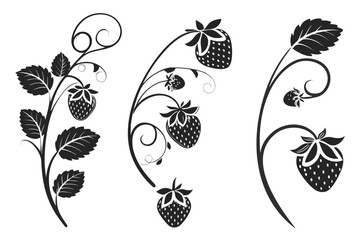Stylized Black and White Strawberry Branches with Swirls.