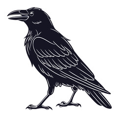 Fototapeta premium crow on a white background