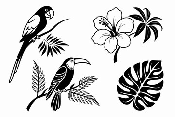 Tropical Birds and Hibiscus Flower Silhouette.