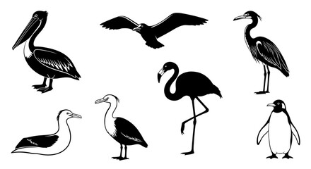 Black and white bird collection showing silhouettes of different species